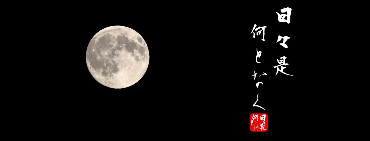 日々 是 何となく